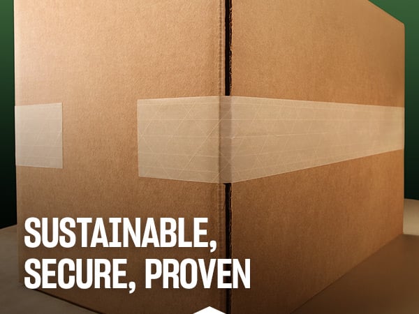Blog-Sustainable-Secure